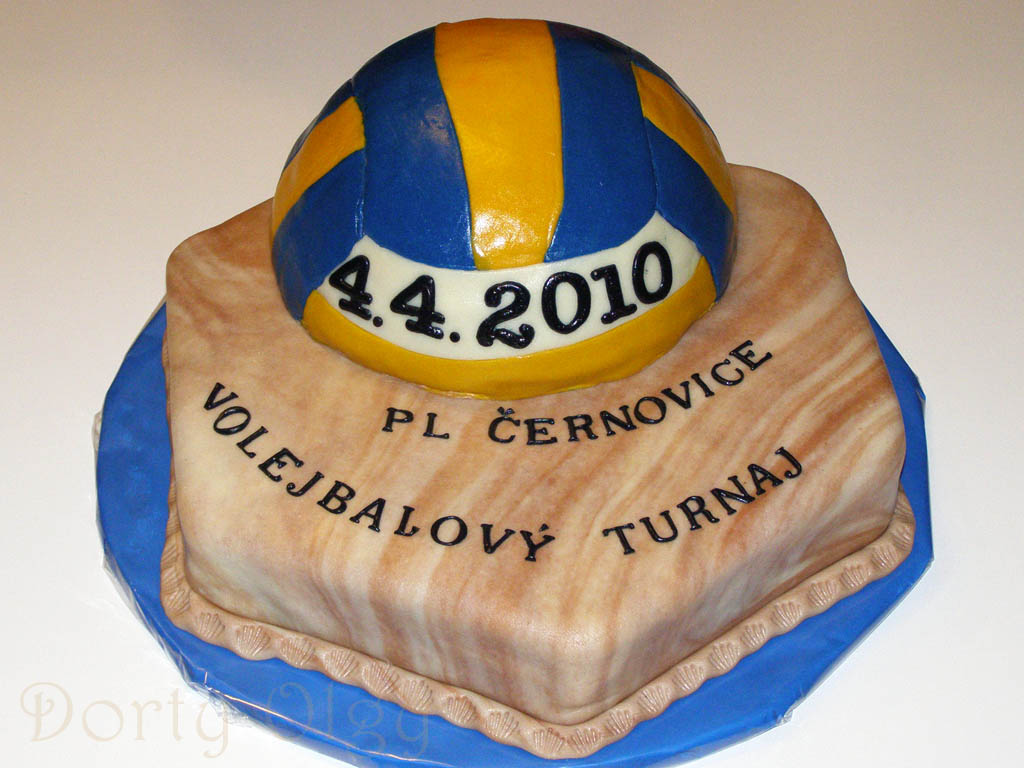 Volejbalový míč